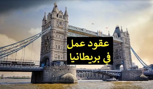 فرص عمل في بريطانيا لمتحدثي اللغة العربية